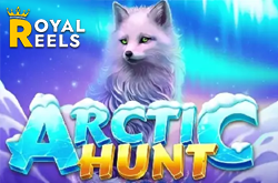 Arctic Hunt Slot Game